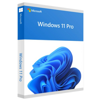Windows 11 Pro günstig kaufen – Dauerlizenz für 1 PC mit Sofort-Download per E-Mail von Karinex