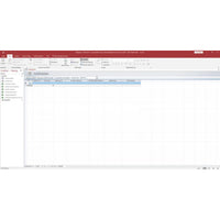 Microsoft Office 2019 Professional für Windows – Access-Screenshot mit geöffneter Datenbank und Tabellenansicht zur Datenverwaltung.
