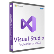 Microsoft Visual Studio Professional 2022 (PC)