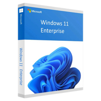 Offizielle Windows 11 Enterprise Verpackungsdarstellung mit blauem Windows-11-Design